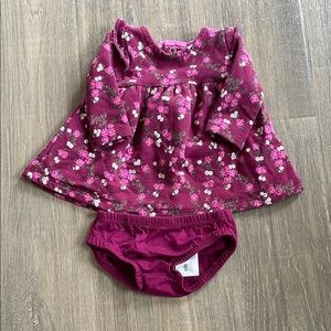 Carters Baby Girl Dress and Bloomers Set